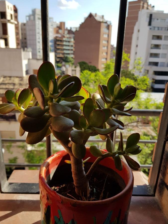 Apartamento Carlucci Córdoba Buitenkant foto